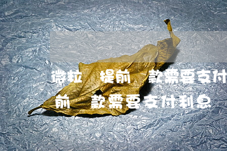 微粒貸提前還款需要支付利息嗎-微粒貸提前還款需要支付利息嗎多少
