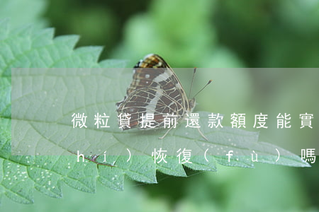 微粒貸提前還款額度能實(shí)時(shí)恢復(fù)嗎-微粒貸提前還款額度能實(shí)時(shí)恢復(fù)嗎安全嗎