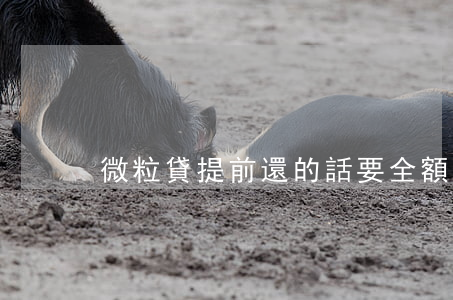 微粒貸提前還的話要全額還款嗎-