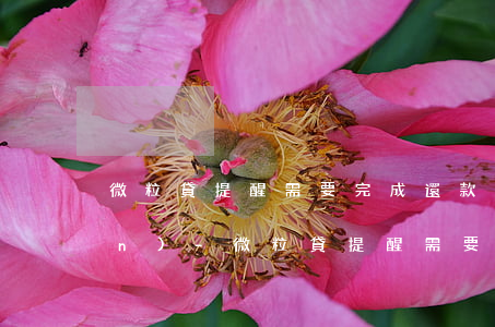 微粒貸提醒需要完成還款簽約授權(quán)-微粒貸提醒需要完成還款簽約授權(quán)嗎