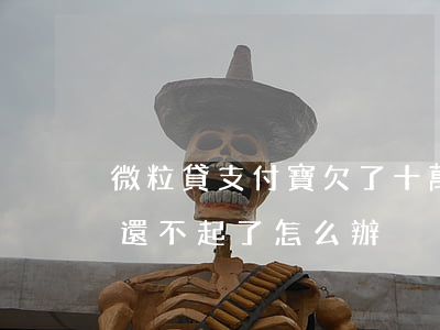 微粒貸支付寶欠了十萬還不了(微粒貸10萬還不起了怎么辦)