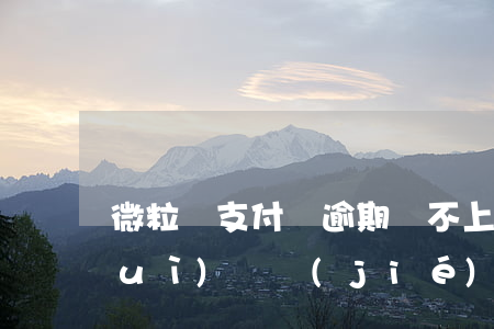 微粒貸支付寶逾期還不上(微粒貸逾期會(huì)凍結(jié)微信和支付寶嗎?)