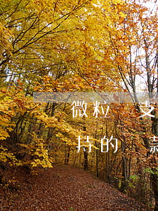 微粒貸支持的還款銀行卡及限額-微粒貸支持的還款銀行卡及限額嗎