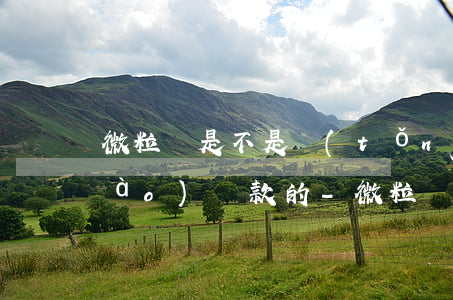 微粒貸是不是統(tǒng)一19號(hào)還款的-微粒貸都是幾號(hào)還款