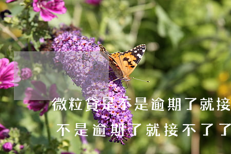 微粒貸是不是逾期了就接不了了-微粒貸是不是逾期了就接不了了電話