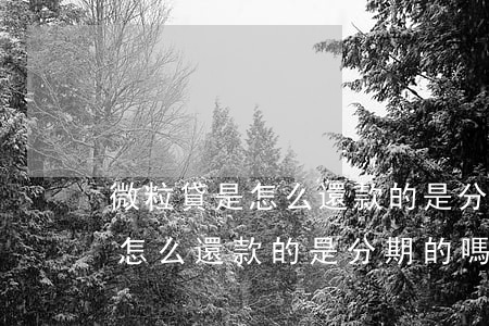 微粒貸是怎么還款的是分期的嗎-微粒貸是怎么還款的是分期的嗎還是全款