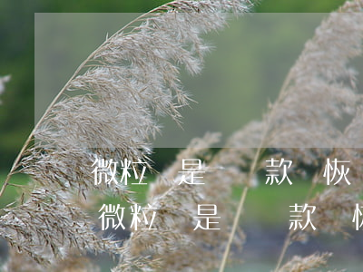 微粒貸是邊還款邊恢復(fù)額度的嗎-微粒貸是邊還款邊恢復(fù)額度的嗎安全嗎