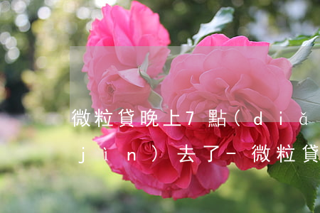 微粒貸晚上7點(diǎn)還款還不進(jìn)去了-微粒貸過了12點(diǎn)為什么還不了款