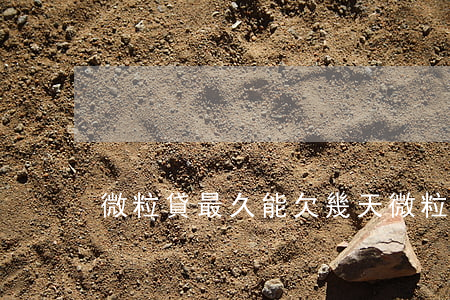 微粒貸最久能欠幾天(微粒貸欠了幾個月)