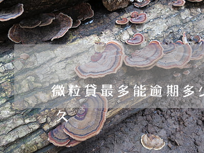微粒貸最多能逾期多少天(微粒貸可以逾期多久)