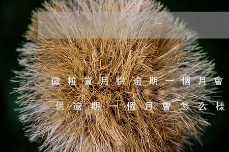 微粒貸月供逾期一個月會怎么樣-微粒貸月供逾期一個月會怎么樣嗎