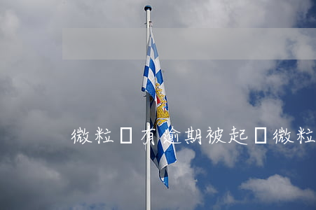 微粒貸有逾期被起訴(微粒貸逾期會被起訴)
