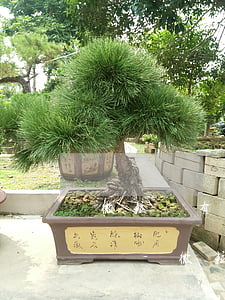 微粒貸有逾期還能借美團(tuán)的錢嗎-微粒貸有逾期還能借美團(tuán)的錢嗎安全嗎