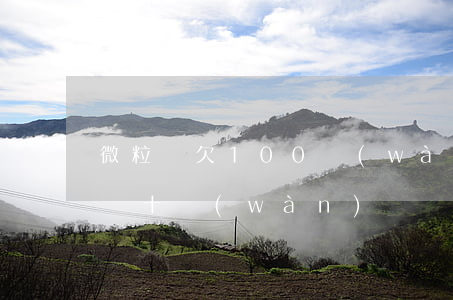 微粒貸欠100萬(wàn)怎么辦(欠微粒貸十萬(wàn))