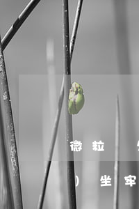 微粒貸欠10萬(wàn)逾期會(huì)坐牢嗎(微粒貸欠款8萬(wàn)逾期了會(huì)坐牢嗎)