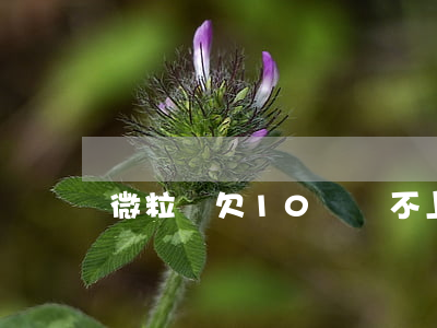 微粒貸欠10萬還不上怎么辦