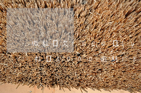微粒貸欠1500預(yù)期120天(微粒貸5000逾期180天說要起訴我)