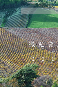 微粒貸欠1600讓我去派出所(微粒貸欠2000塊錢發(fā)信息給我說立案了)