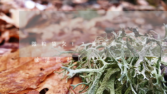微粒貸欠17萬會被起訴嗎(微粒貸欠多少會被法院起訴)
