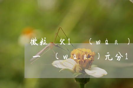 微粒貸欠1萬(wàn)可以分幾期(微粒貸一萬(wàn)元分12期還多少錢)