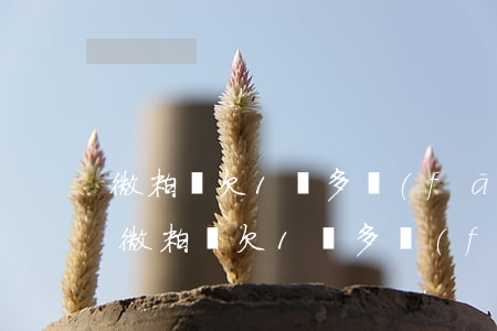 微粒貸欠1萬多發(fā)信要起訴我了-微粒貸欠1萬多發(fā)信要起訴我了怎么辦