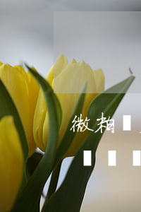 微粒貸欠1萬會(huì)坐牢嗎(微粒貸欠兩萬會(huì)坐牢嗎)