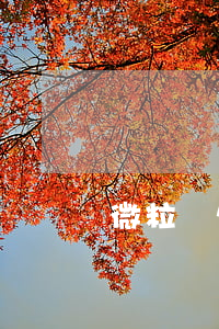 微粒貸欠1萬沒錢還(微粒貸欠1萬沒錢還)