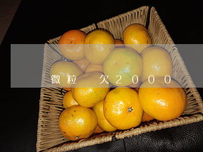 微粒貸欠2000塊錢(微粒貸借2000)