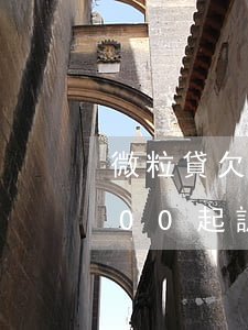 微粒貸欠2000被起訴(我欠微粒貸30000起訴我)