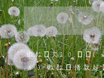 微粒貸欠20筆無(wú)法借錢(qián)(微粒貸借款超過(guò)20筆就不能借了)