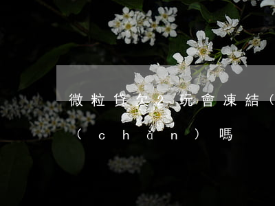 微粒貸欠2玩會凍結(jié)我老公房產(chǎn)嗎
