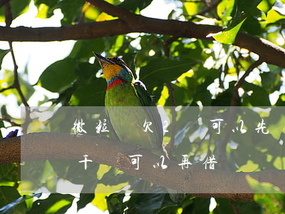 微粒貸欠2萬可以先還1萬嗎(微粒貸借了一千還可以再借嗎)