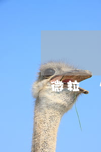 微粒貸欠30000逾期2年
