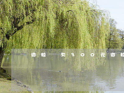 微粒貸欠300元(微粒貸欠3500)