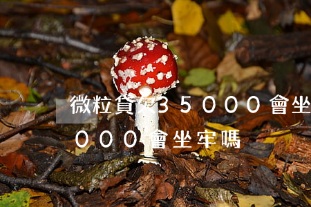 微粒貸欠35000會坐牢嗎(微粒貸欠35000會坐牢嗎)