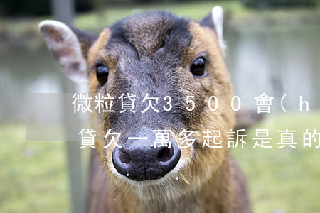 微粒貸欠3500會(huì)起訴嗎(微粒貸欠一萬多起訴是真的嗎)