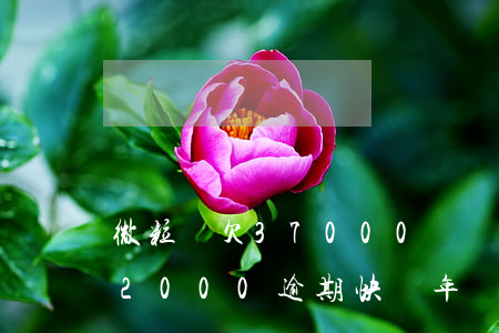 微粒貸欠37000兩個(gè)月(微粒貸2000逾期快兩年)