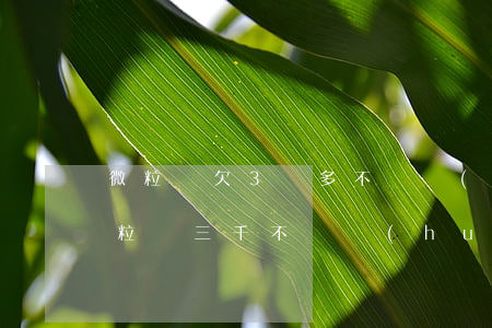 微粒貸欠3萬多不還會(huì)怎么樣(微粒貸三千不還會(huì)怎樣)