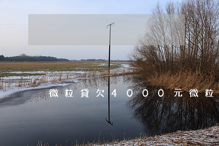 微粒貸欠4000元(微粒貸借30000)