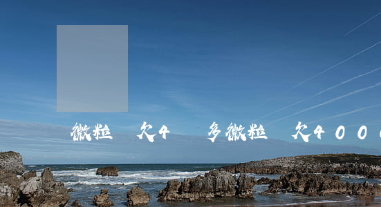 微粒貸欠4萬多(微粒貸欠4000)