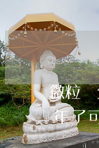 微粒貸欠50000逾期2年 微粒貸逾期兩年了,可以只還本金么