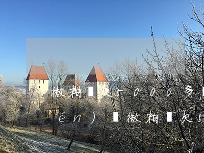 微粒貸欠5000多會(huì)上門(mén)嗎(微粒貸欠5000上門(mén)了)