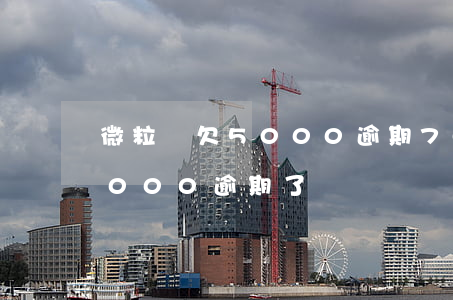 微粒貸欠5000逾期70天(微粒貸欠款8000逾期了)