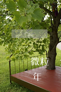 微粒貸欠5萬一年(微粒貸5000多逾期一年)