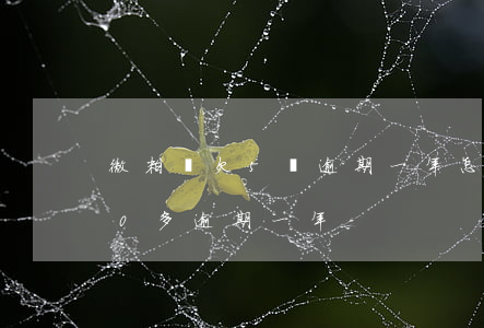 微粒貸欠5萬逾期一年怎么辦(微粒貸5000多逾期一年)