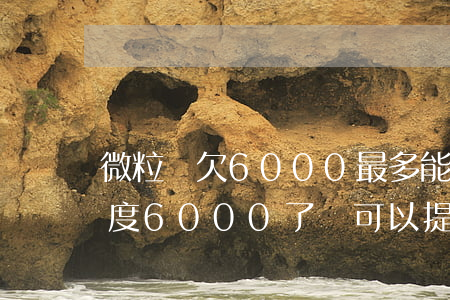 微粒貸欠6000最多能減免多少(微粒貸額度6000了還可以提高嗎)