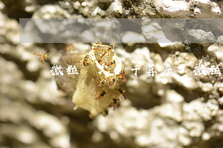 微粒貸欠6千算多嗎(微粒貸欠6千算多嗎)