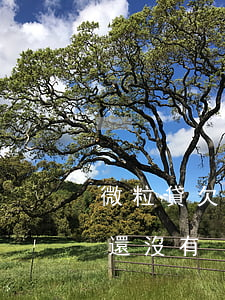 微粒貸欠6天沒什么事吧(微粒貸這么久了我還沒有)