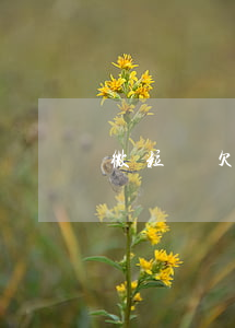 微粒貸欠7000(微粒貸5500)