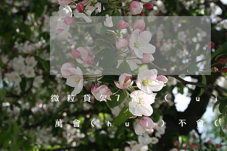 微粒貸欠7萬會(huì)坐牢(微粒貸欠8萬,會(huì)不會(huì)被起訴坐牢)